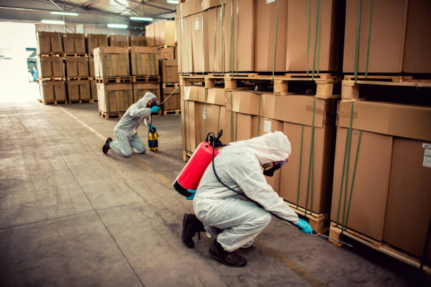 Best Pest Control Near Me  in Alamo Heights, TX