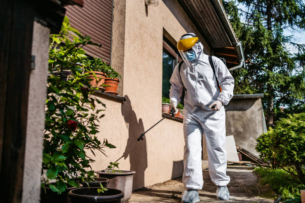 Best Rodent Control Near Me  in Alamo Heights, TX