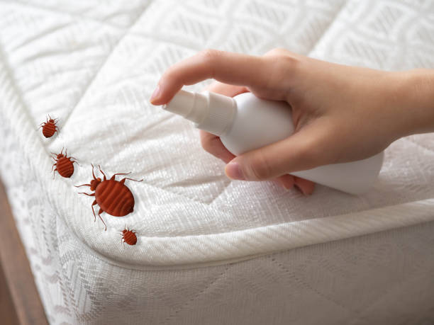 Alamo Heights, TX Pest Control Company