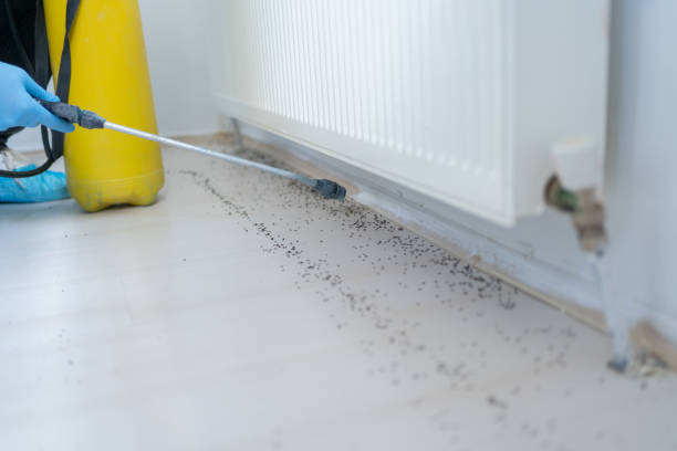 Best Pest Control for Restaurants  in Alamo Heights, TX