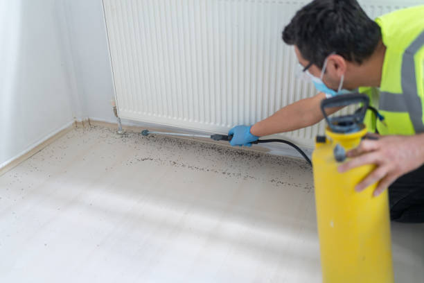 Best Best Pest Control Near Me  in Alamo Heights, TX